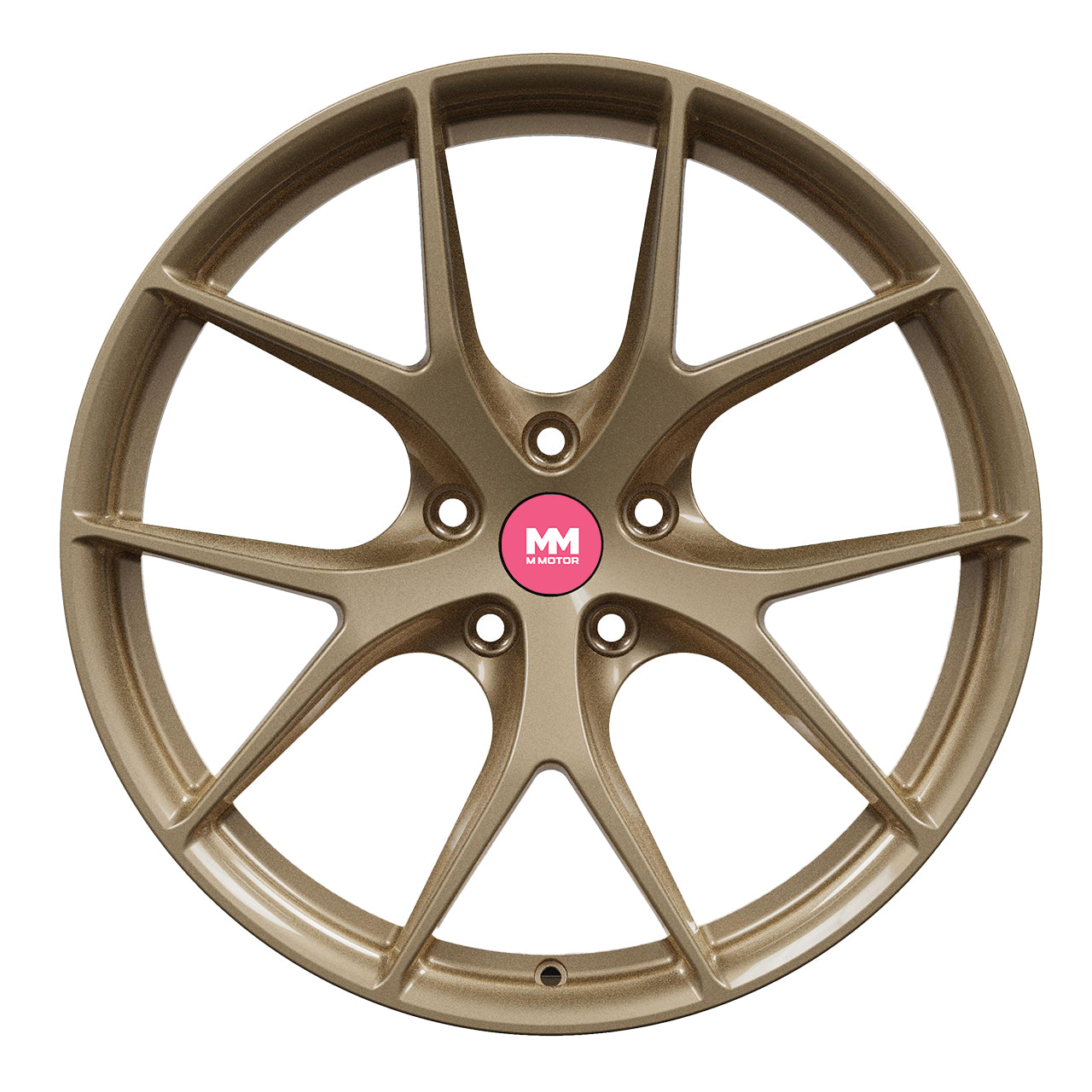 FW509-G Performance Wheels