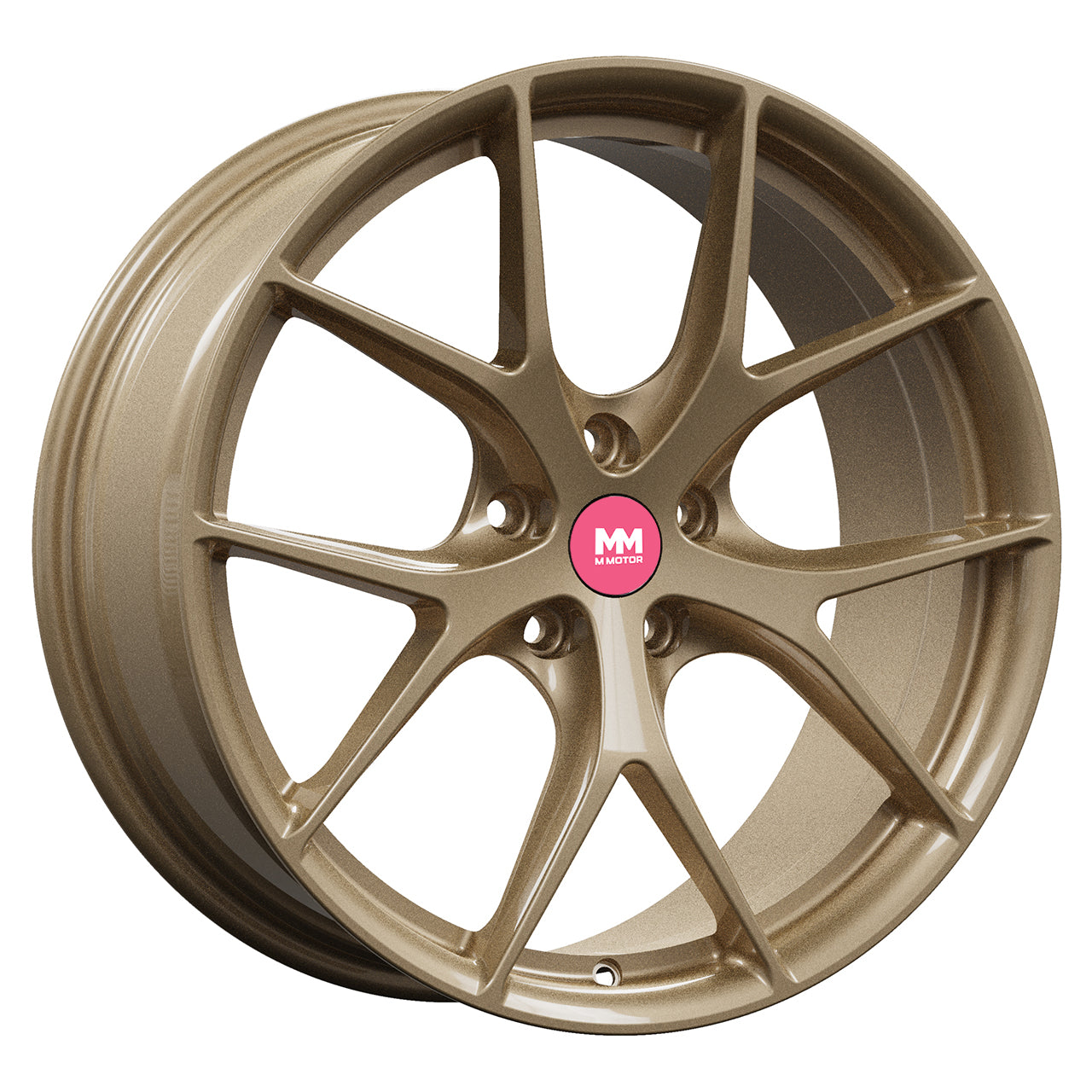 FW509-G Performance Wheels