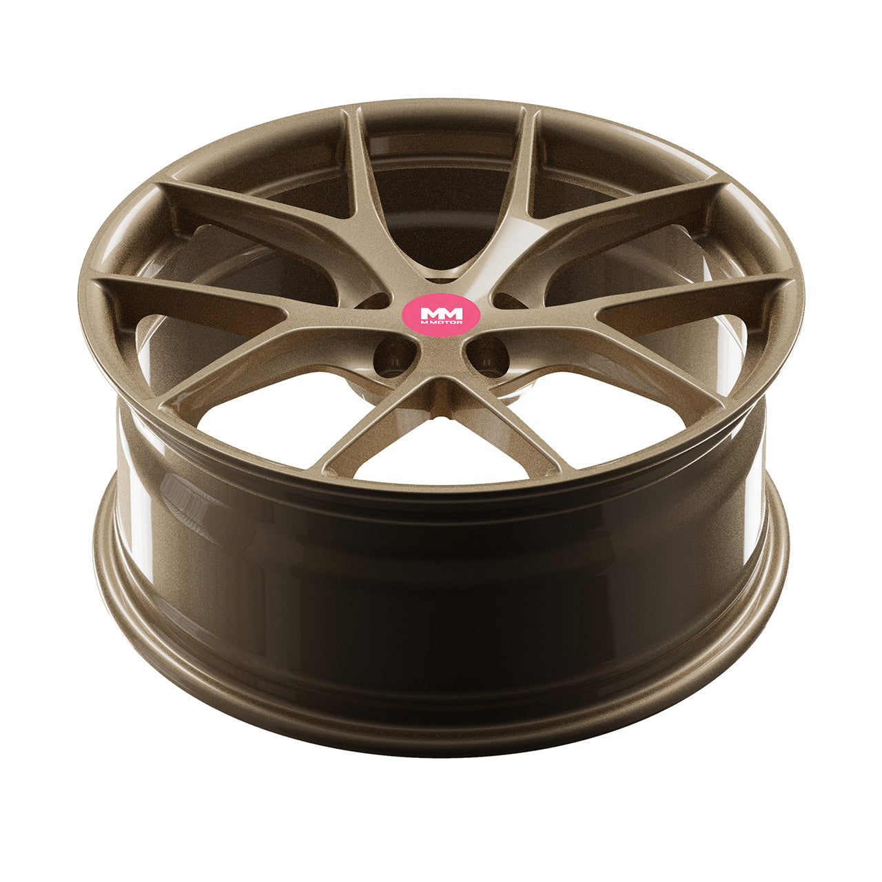 FW509-G Performance Wheels